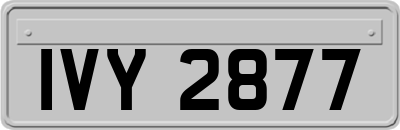 IVY2877