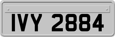 IVY2884