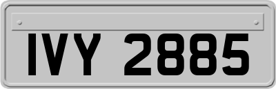 IVY2885