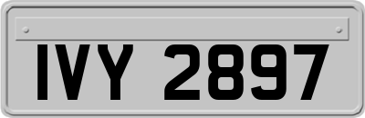 IVY2897