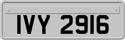 IVY2916