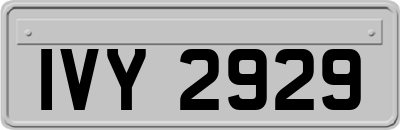 IVY2929
