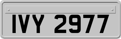 IVY2977