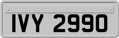 IVY2990