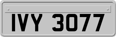 IVY3077