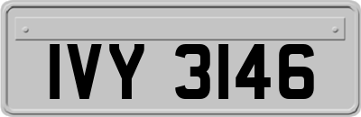 IVY3146