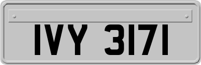 IVY3171