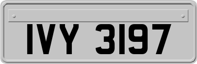 IVY3197