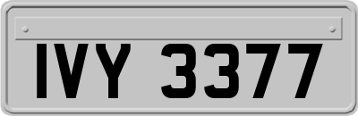 IVY3377