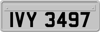 IVY3497