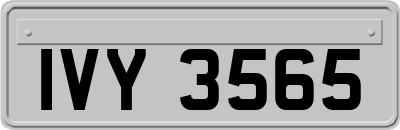 IVY3565