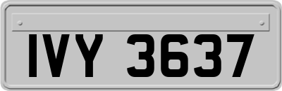IVY3637