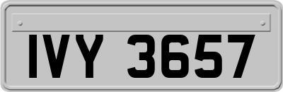 IVY3657