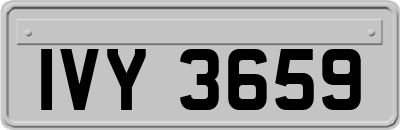 IVY3659