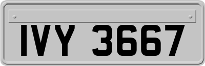 IVY3667