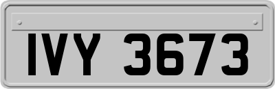 IVY3673
