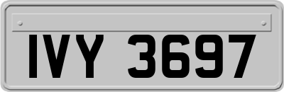 IVY3697