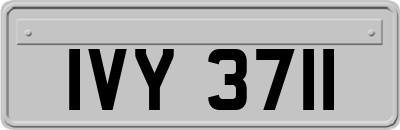 IVY3711