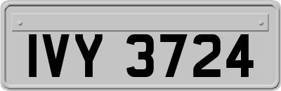 IVY3724