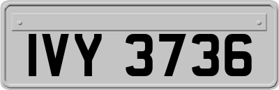 IVY3736