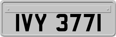 IVY3771