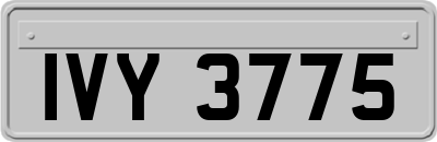 IVY3775