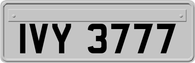 IVY3777