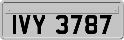IVY3787