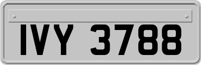 IVY3788