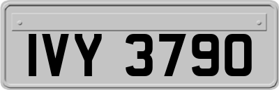 IVY3790