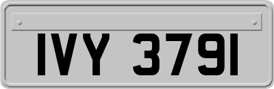 IVY3791