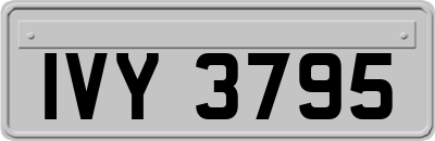 IVY3795