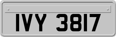 IVY3817