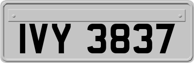 IVY3837