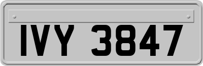 IVY3847