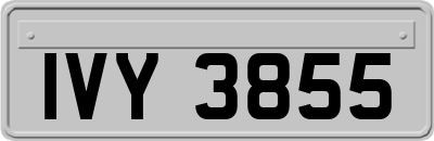IVY3855