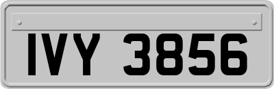 IVY3856