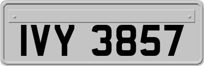 IVY3857