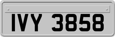 IVY3858
