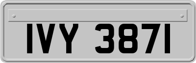 IVY3871