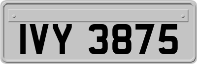IVY3875