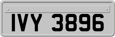 IVY3896