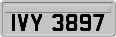 IVY3897