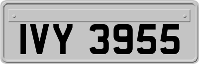 IVY3955