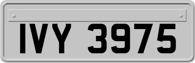 IVY3975