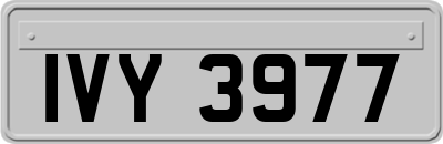 IVY3977