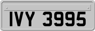 IVY3995