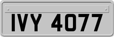 IVY4077