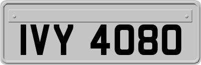 IVY4080
