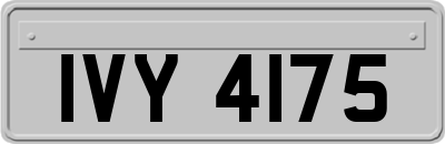 IVY4175